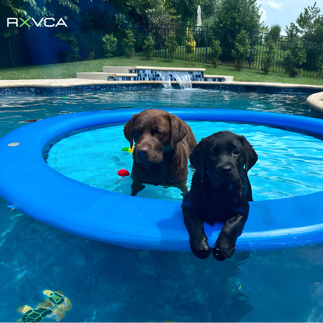 RXVCA AquaLaze™